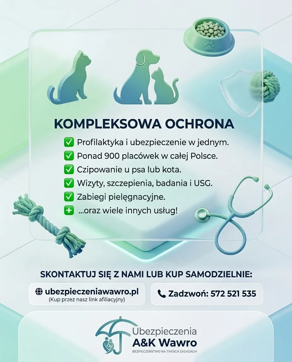 Pakiety weterynaryjne i ubezpieczenie psa lub kota Pethelp